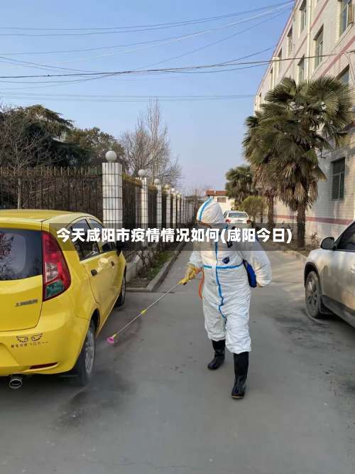 今天咸阳市疫情情况如何(咸阳今日)-第2张图片
