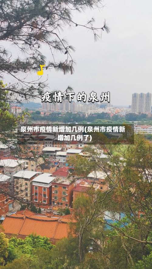 泉州市疫情新增加几例(泉州市疫情新增加几例了)-第2张图片