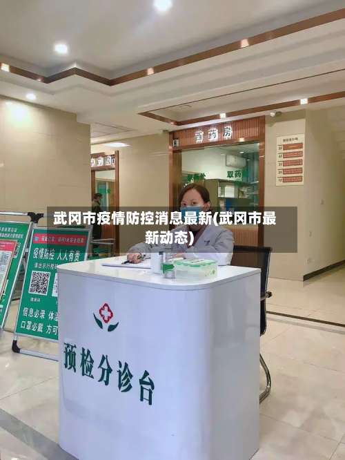 武冈市疫情防控消息最新(武冈市最新动态)-第1张图片