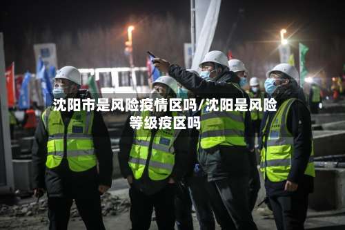 沈阳市是风险疫情区吗/沈阳是风险等级疫区吗-第1张图片