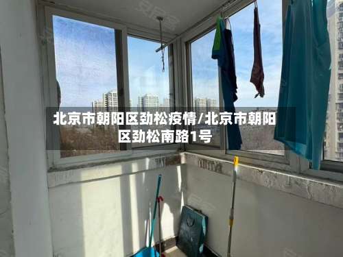 北京市朝阳区劲松疫情/北京市朝阳区劲松南路1号-第2张图片