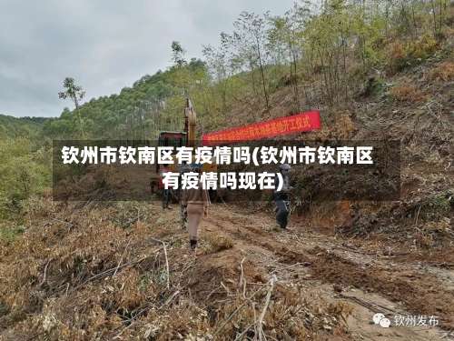 钦州市钦南区有疫情吗(钦州市钦南区有疫情吗现在)-第1张图片