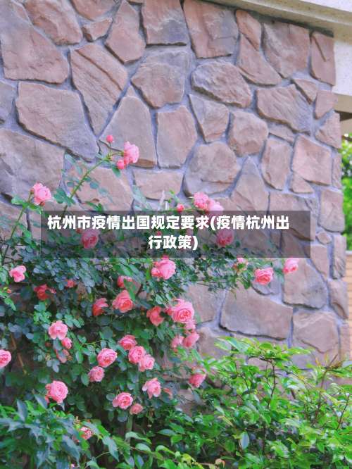 杭州市疫情出国规定要求(疫情杭州出行政策)-第1张图片