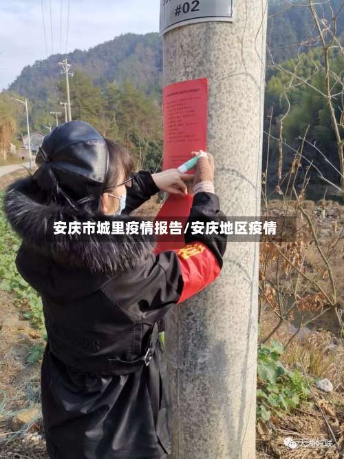 安庆市城里疫情报告/安庆地区疫情-第2张图片
