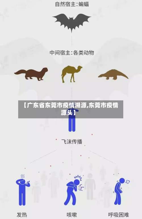 【广东省东莞市疫情溯源,东莞市疫情源头】-第2张图片