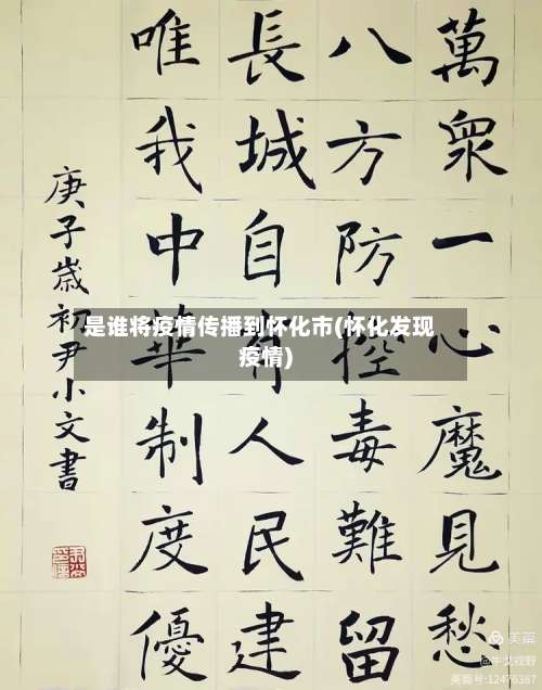 是谁将疫情传播到怀化市(怀化发现疫情)-第1张图片