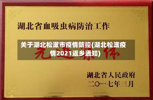 关于湖北松滋市疫情防控(湖北松滋疫情2021返乡通知)-第1张图片