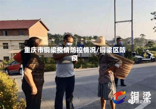 重庆市铜梁疫情防控情况/铜梁区防疫-第3张图片