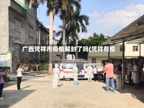 广西凭祥市疫情解封了吗(凭祥有疫情)-第2张图片