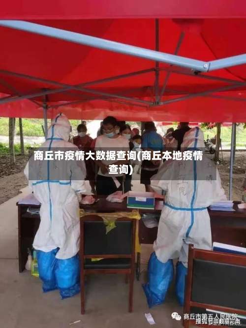 商丘市疫情大数据查询(商丘本地疫情查询)-第1张图片