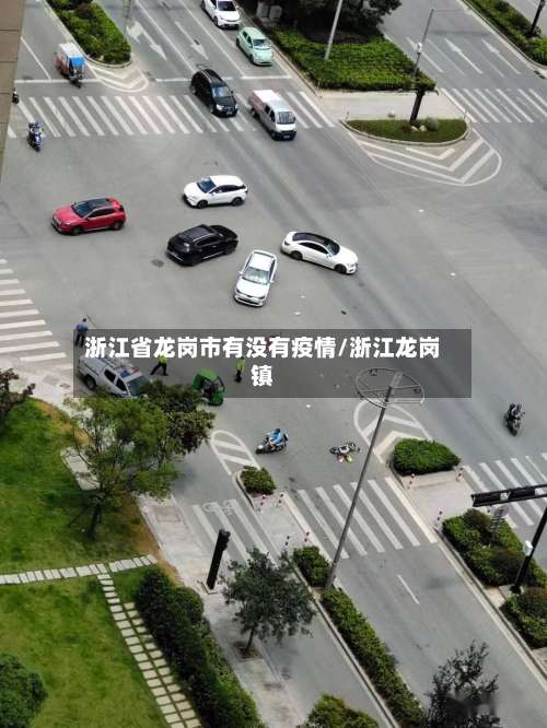 浙江省龙岗市有没有疫情/浙江龙岗镇-第1张图片