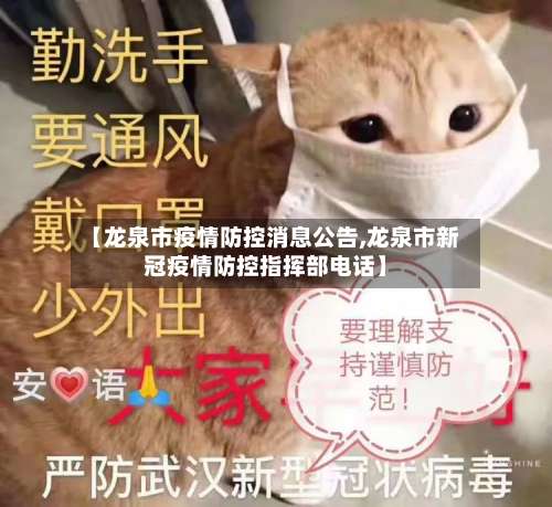【龙泉市疫情防控消息公告,龙泉市新冠疫情防控指挥部电话】-第1张图片