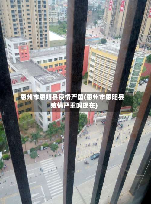惠州市惠阳县疫情严重(惠州市惠阳县疫情严重吗现在)-第3张图片