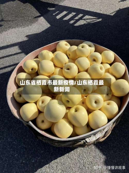 山东省栖霞市最新疫情/山东栖霞最新新闻-第3张图片