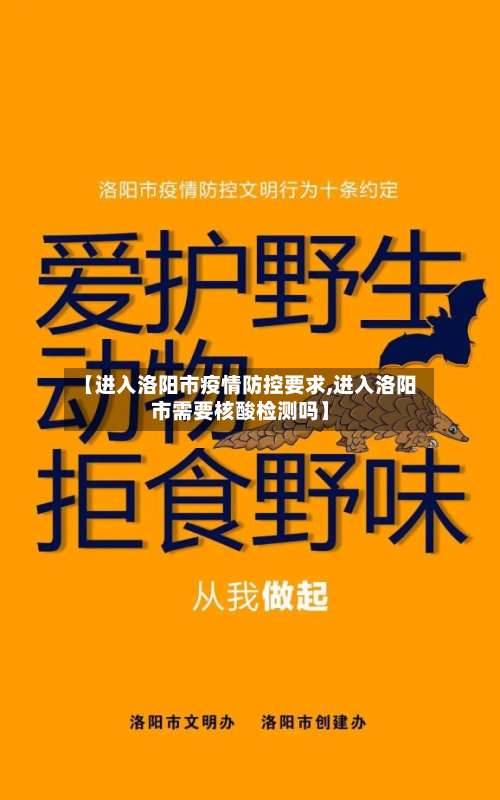 【进入洛阳市疫情防控要求,进入洛阳市需要核酸检测吗】-第1张图片
