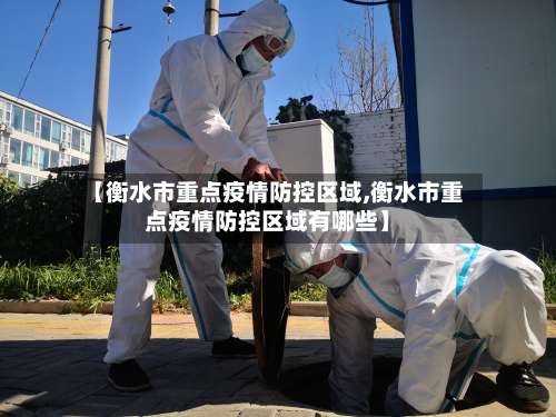 【衡水市重点疫情防控区域,衡水市重点疫情防控区域有哪些】-第3张图片