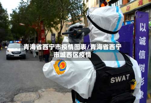 青海省西宁市疫情图表/青海省西宁市城西区疫情-第3张图片