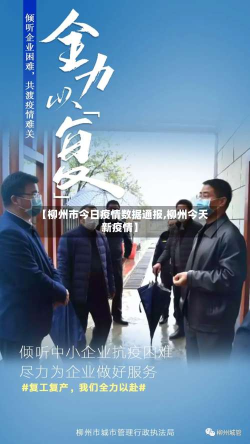 【柳州市今日疫情数据通报,柳州今天新疫情】-第2张图片