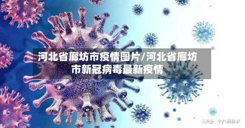 河北省廊坊市疫情图片/河北省廊坊市新冠病毒最新疫情-第1张图片