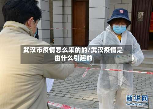 武汉市疫情怎么来的的/武汉疫情是由什么引起的-第2张图片