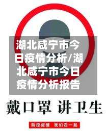 湖北咸宁市今日疫情分析/湖北咸宁市今日疫情分析报告-第1张图片