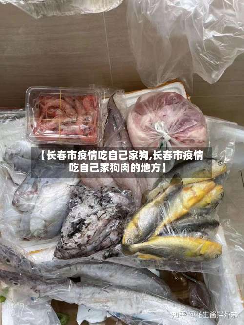 【长春市疫情吃自己家狗,长春市疫情吃自己家狗肉的地方】-第1张图片