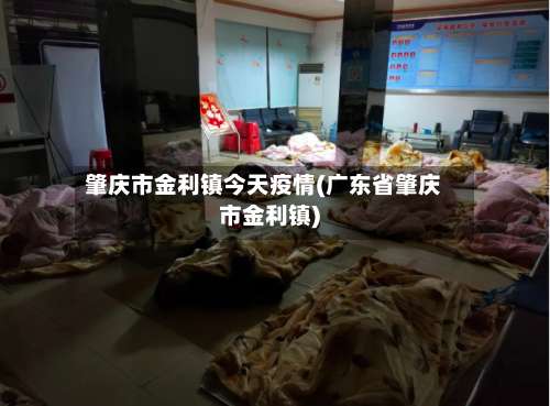 肇庆市金利镇今天疫情(广东省肇庆市金利镇)-第1张图片