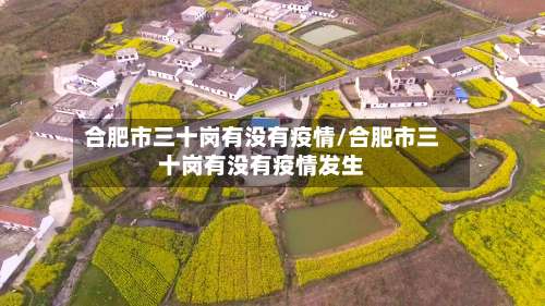 合肥市三十岗有没有疫情/合肥市三十岗有没有疫情发生-第1张图片