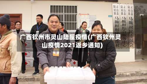 广西钦州市灵山陆屋疫情(广西钦州灵山疫情2021返乡通知)-第2张图片