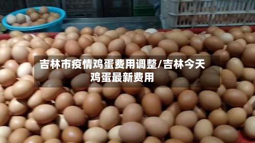 吉林市疫情鸡蛋费用调整/吉林今天鸡蛋最新费用-第1张图片