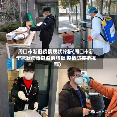 周口市新冠疫情现状分析(周口市新型冠状病毒感染的肺炎 疫情防控指挥部)-第1张图片