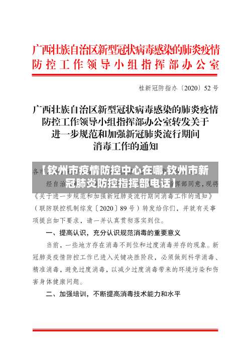 【钦州市疫情防控中心在哪,钦州市新冠肺炎防控指挥部电话】-第1张图片