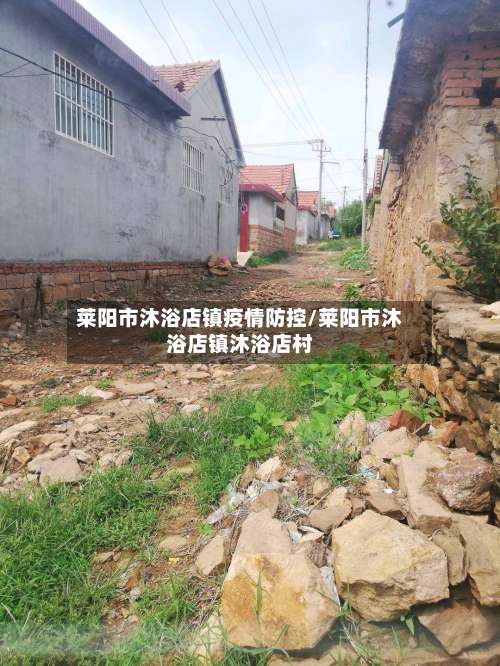 莱阳市沐浴店镇疫情防控/莱阳市沐浴店镇沐浴店村-第1张图片