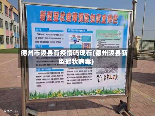 德州市陵县有疫情吗现在(德州陵县新型冠状病毒)-第1张图片
