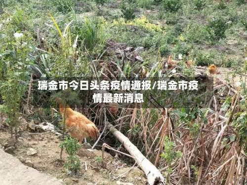 瑞金市今日头条疫情通报/瑞金市疫情最新消息-第1张图片