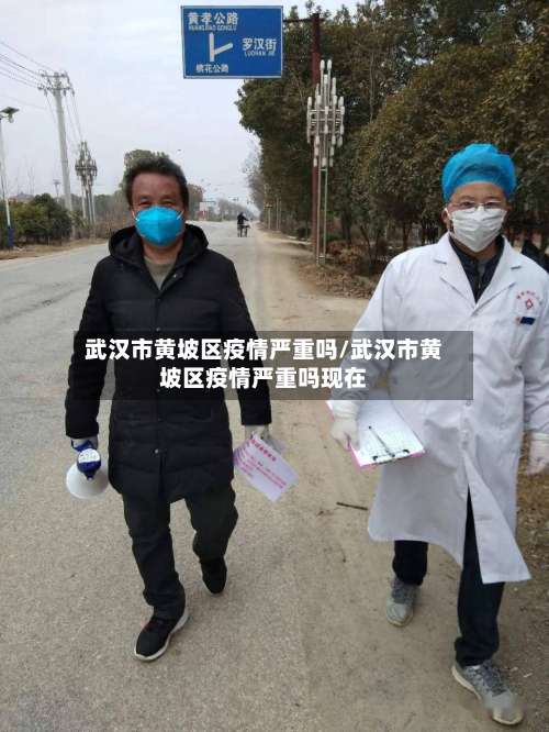 武汉市黄坡区疫情严重吗/武汉市黄坡区疫情严重吗现在-第2张图片