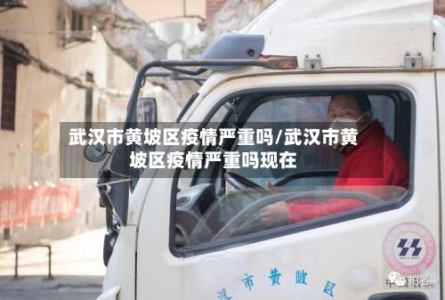 武汉市黄坡区疫情严重吗/武汉市黄坡区疫情严重吗现在-第1张图片