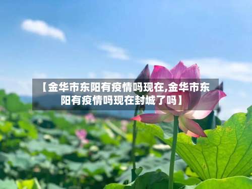 【金华市东阳有疫情吗现在,金华市东阳有疫情吗现在封城了吗】-第1张图片