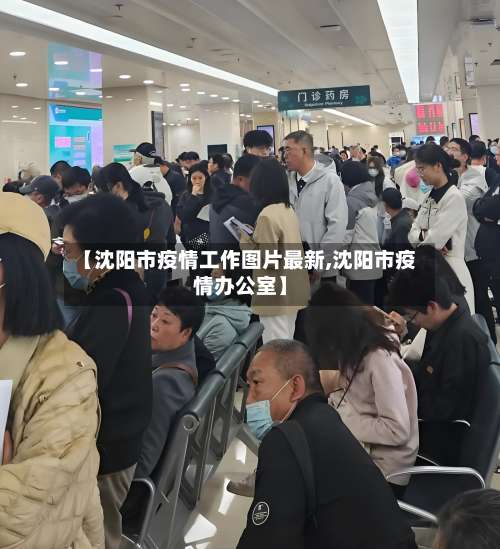 【沈阳市疫情工作图片最新,沈阳市疫情办公室】-第1张图片